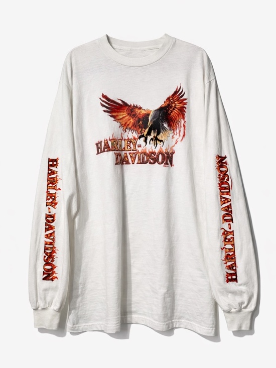 Harley-Davidson Other - Vintage 2002 Harley Davidson Flaming Eagle Long Sleeve Tee Indy West L XL